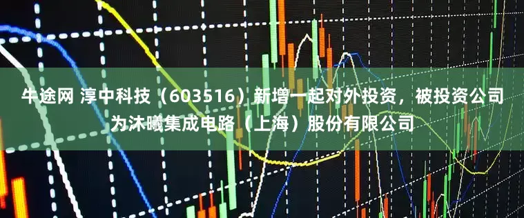 牛途网 淳中科技（603516）新增一起对外投资，被投资公司为沐曦集成电路（上海）股份有限公司