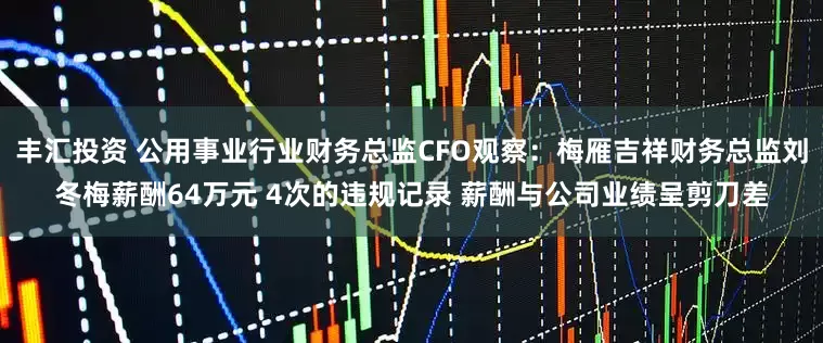 丰汇投资 公用事业行业财务总监CFO观察：梅雁吉祥财务总监刘冬梅薪酬64万元 4次的违规记录 薪酬与公司业绩呈剪刀差