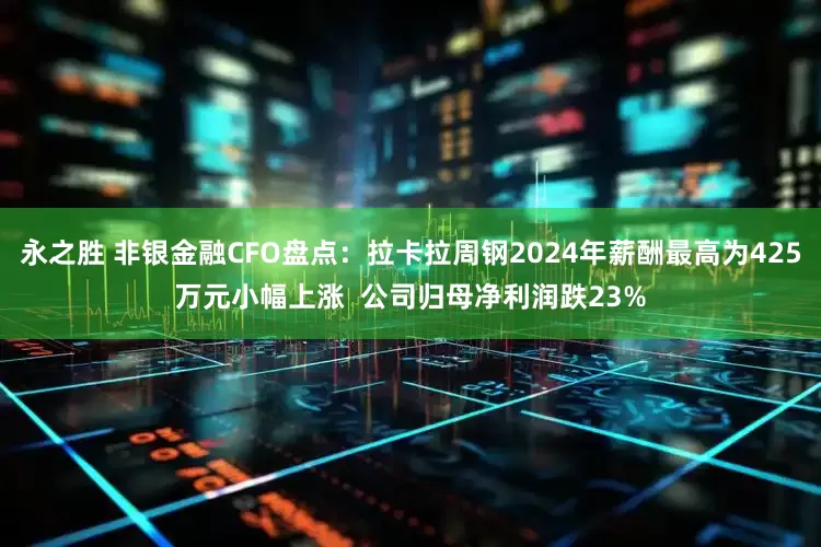 永之胜 非银金融CFO盘点：拉卡拉周钢2024年薪酬最高为425万元小幅上涨  公司归母净利润跌23%