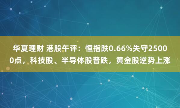 华夏理财 港股午评：恒指跌0.66%失守25000点，科技股、半导体股普跌，黄金股逆势上涨
