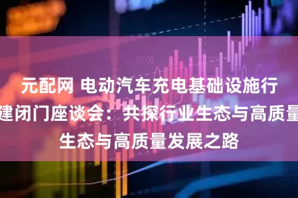 元配网 电动汽车充电基础设施行业生态共建闭门座谈会：共探行业生态与高质量发展之路