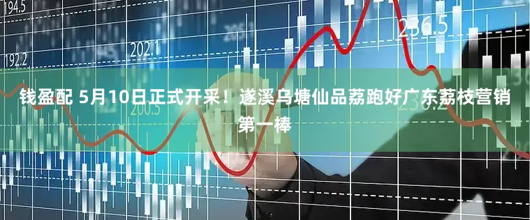 钱盈配 5月10日正式开采！遂溪乌塘仙品荔跑好广东荔枝营销第一棒